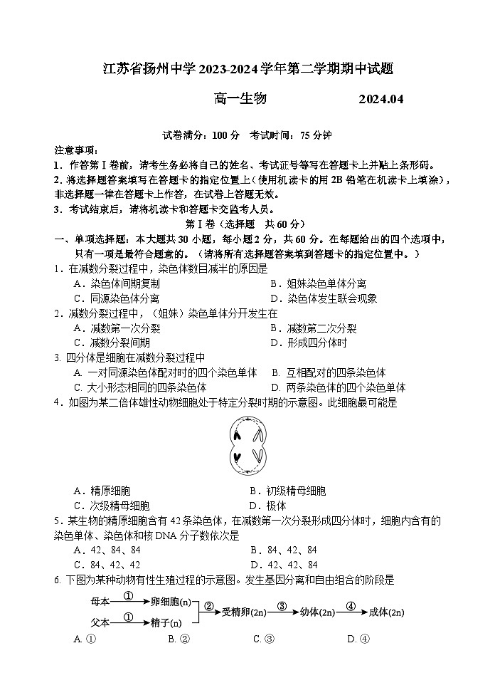 2024扬州中学高一下学期4月期中考试生物含答案01