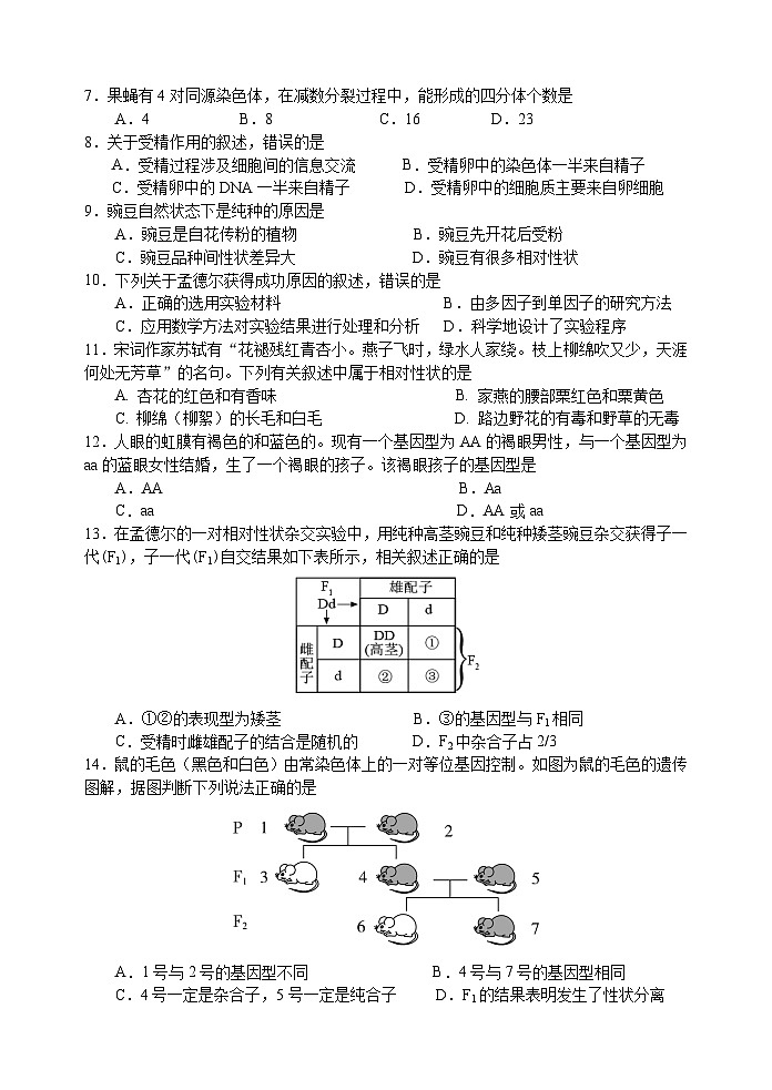 2024扬州中学高一下学期4月期中考试生物含答案02