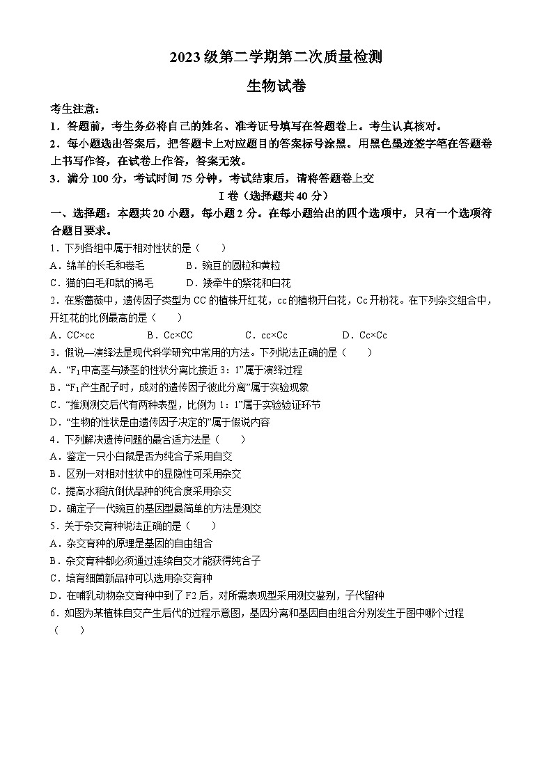 2024眉山仁寿县高一下学期4月期中联考试题生物含答案01