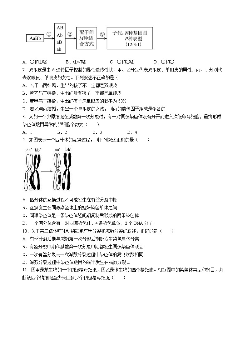 2024眉山仁寿县高一下学期4月期中联考试题生物含答案02