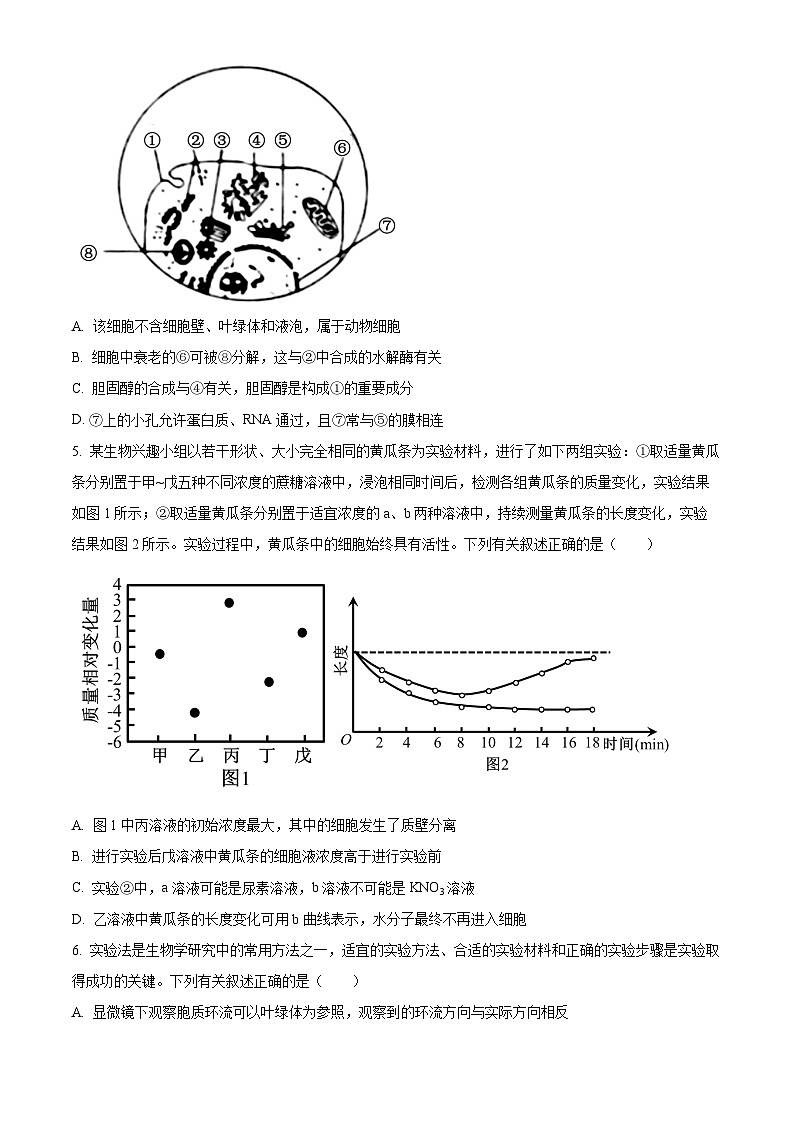 2024海南省高一下学期4月阶段性教学检测（三）生物含解析第2页