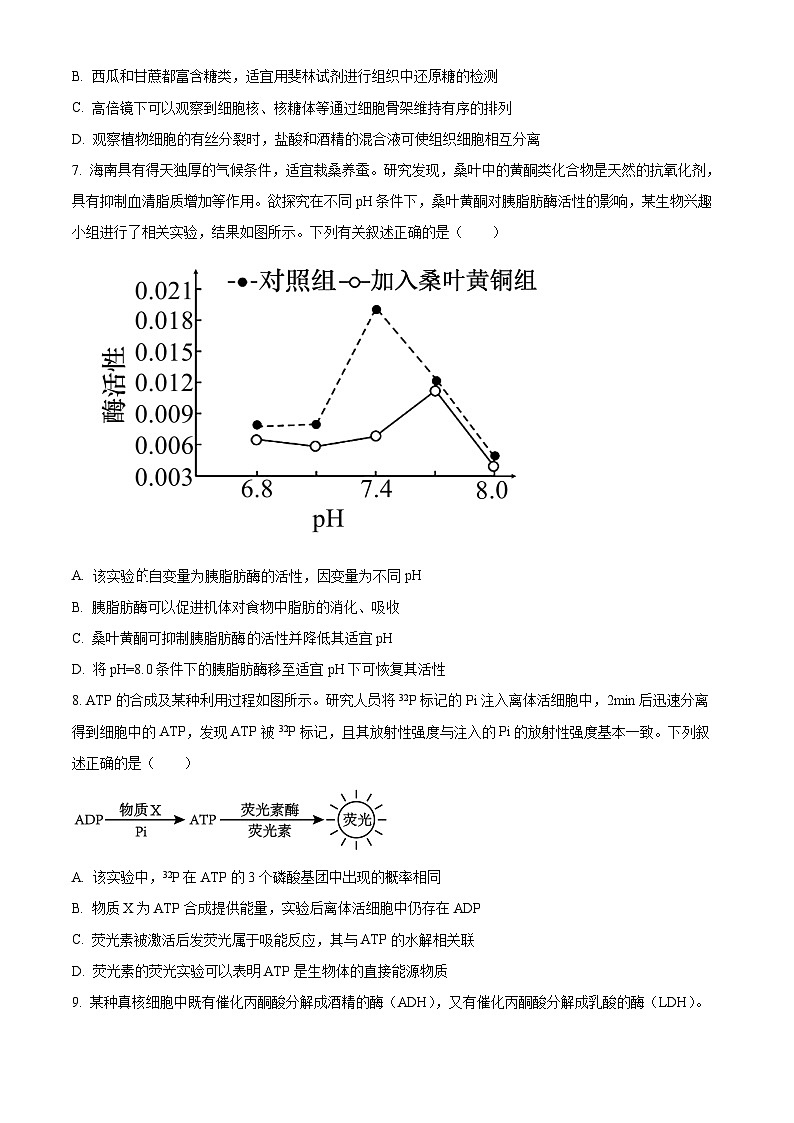 2024海南省高一下学期4月阶段性教学检测（三）生物含解析第3页