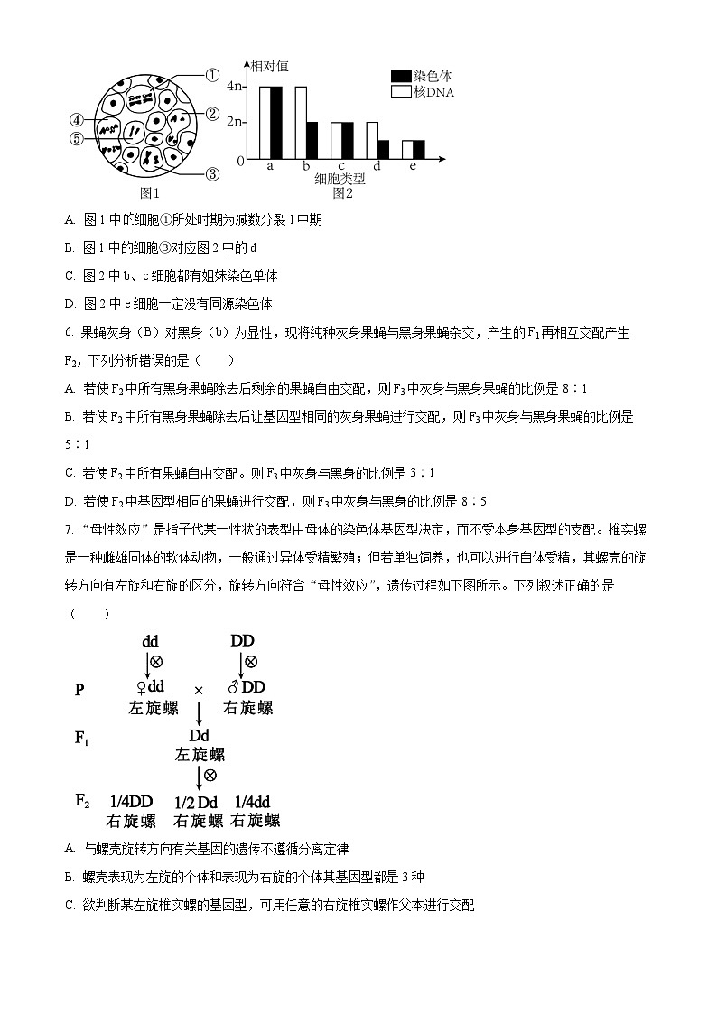 2024大连滨城高中联盟高一下学期4月月考试题生物含解析第2页