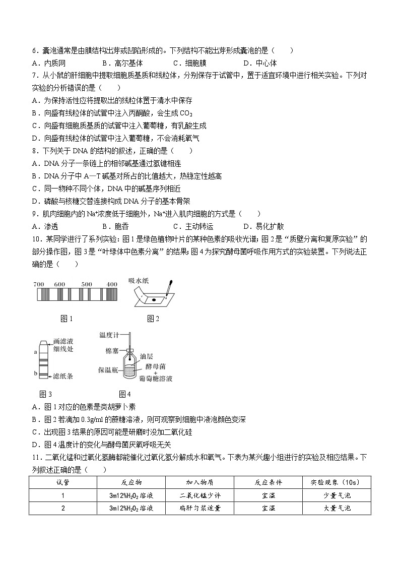 2024丽水五校高中发展共同体高一下学期4月联考生物试题含答案02