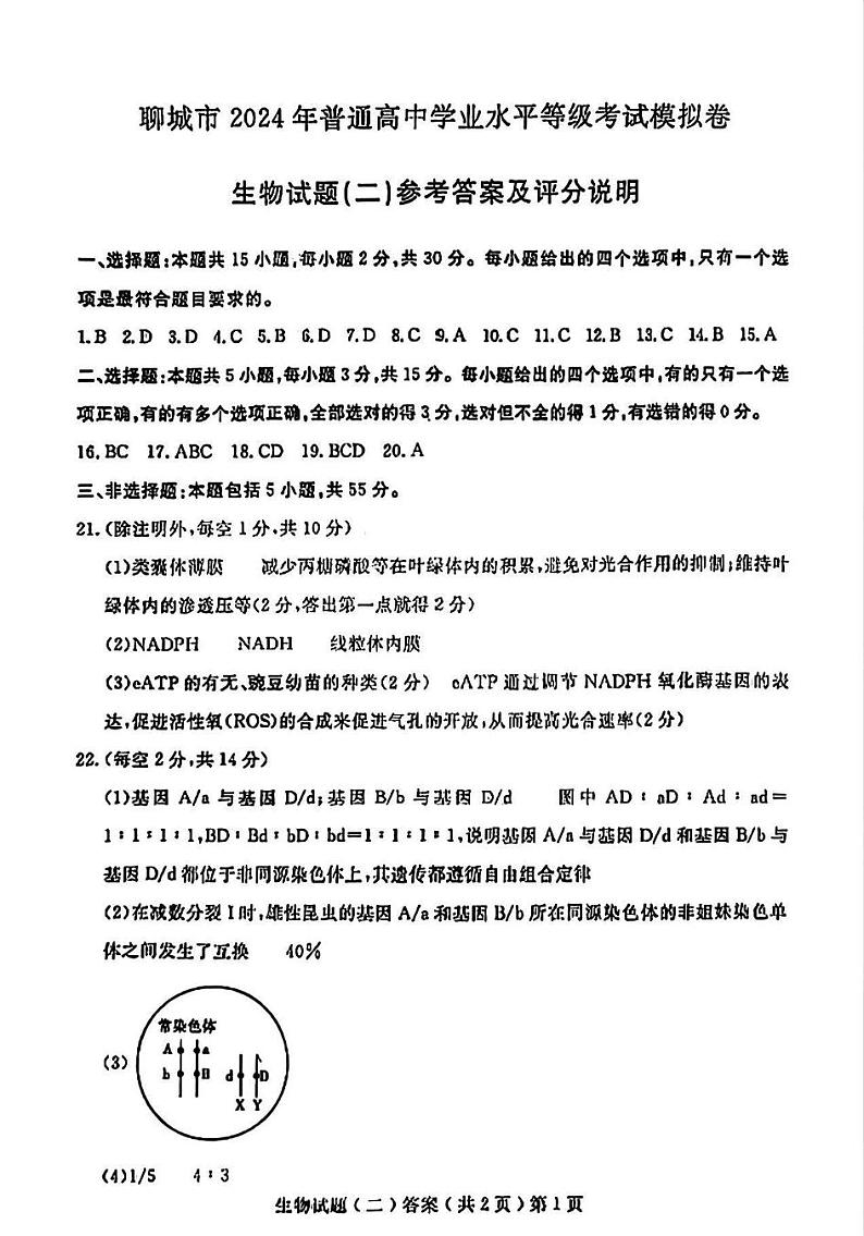 2024年山东省聊城市高三下学期二模生物试题及答案01