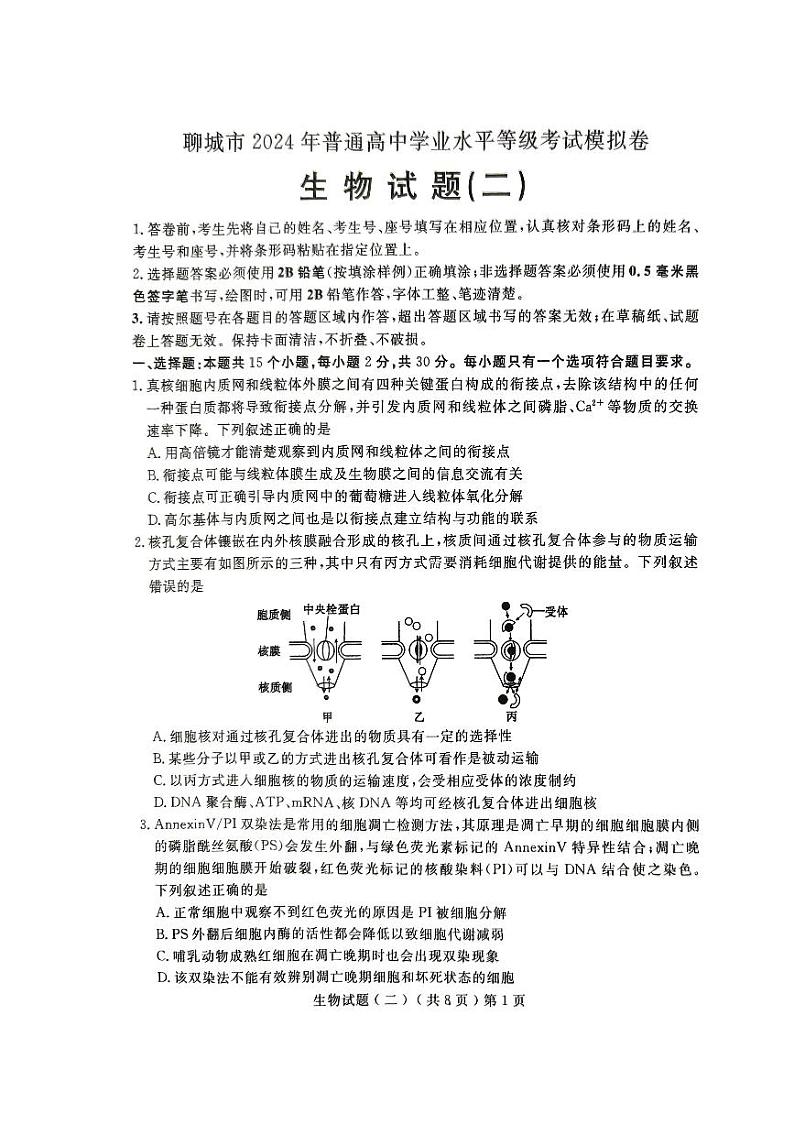 2024年山东省聊城市高三下学期二模生物试题及答案01