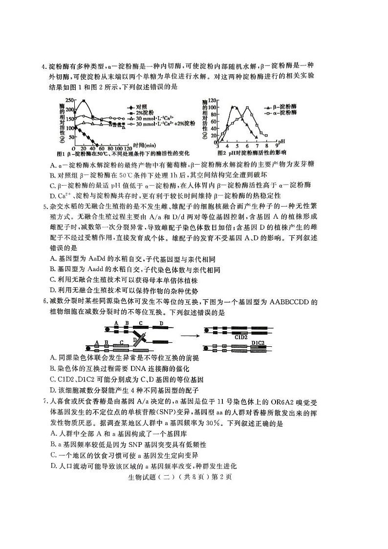 2024年山东省聊城市高三下学期二模生物试题及答案02