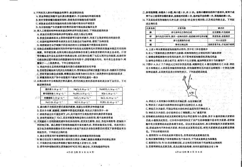 2024届河北省沧州市高三第二次模拟考试生物试题02