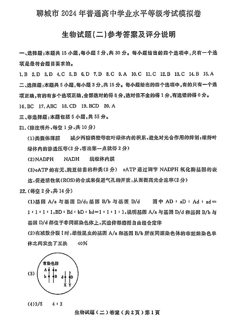 2024届山东省聊城市高三下学期二模生物试题01
