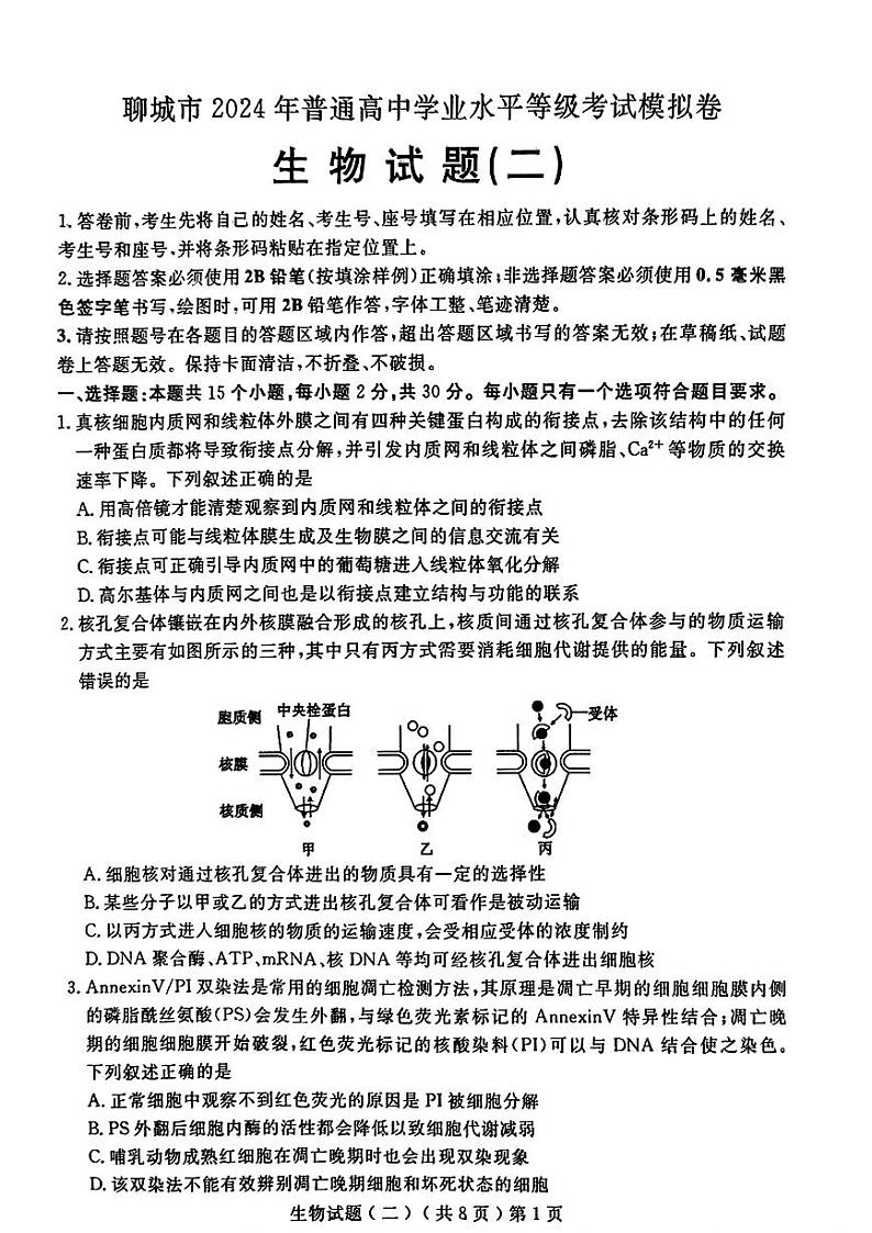 2024届山东省聊城市高三下学期二模生物试题01