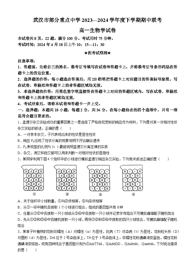 湖北省武汉市六校联考2023-2024学年高一下学期4月期中生物试题(无答案)01