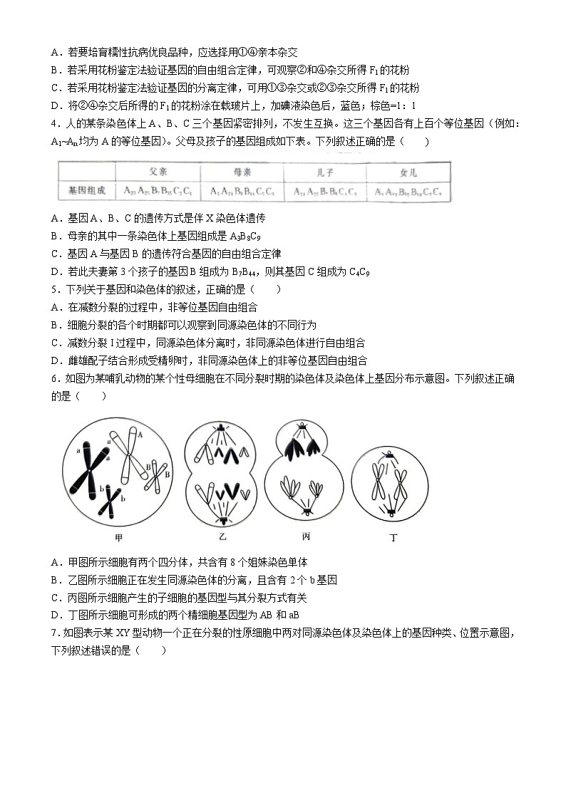 湖北省武汉市六校联考2023-2024学年高一下学期4月期中生物试题(无答案)02