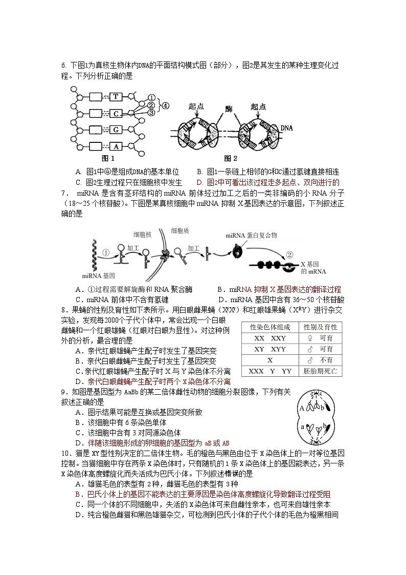 江苏省无锡市江阴南菁高中2023-2024学年高一下学期期中考试生物试卷02