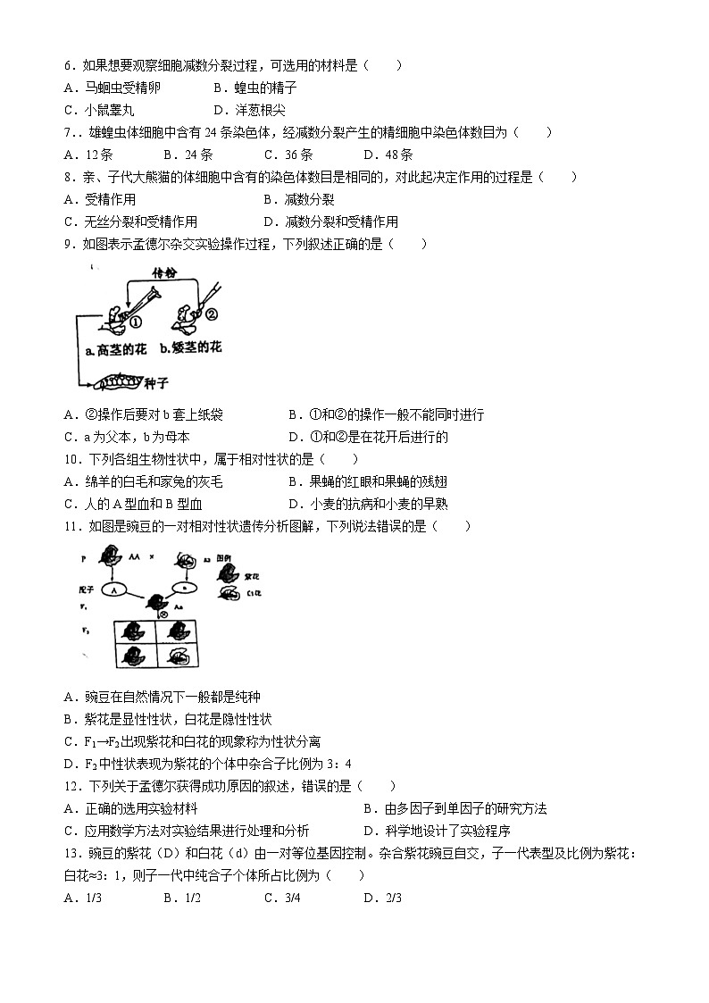 江苏省徐州市铜山区2023-2024学年高一下学期4月期中生物试题(无答案)第2页