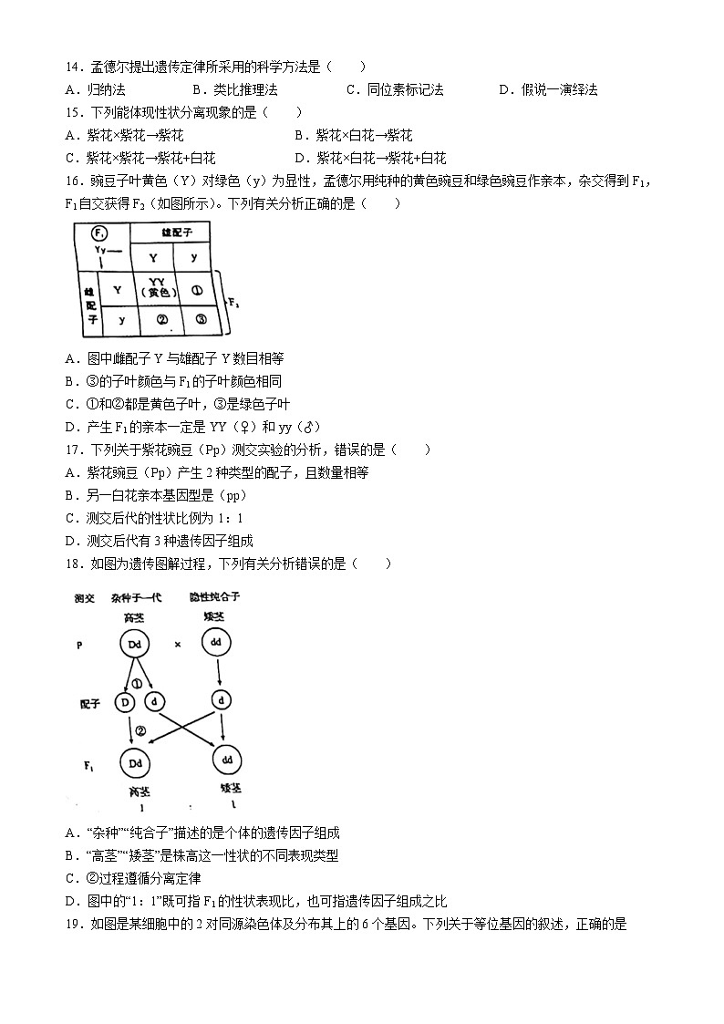 江苏省徐州市铜山区2023-2024学年高一下学期4月期中生物试题(无答案)第3页