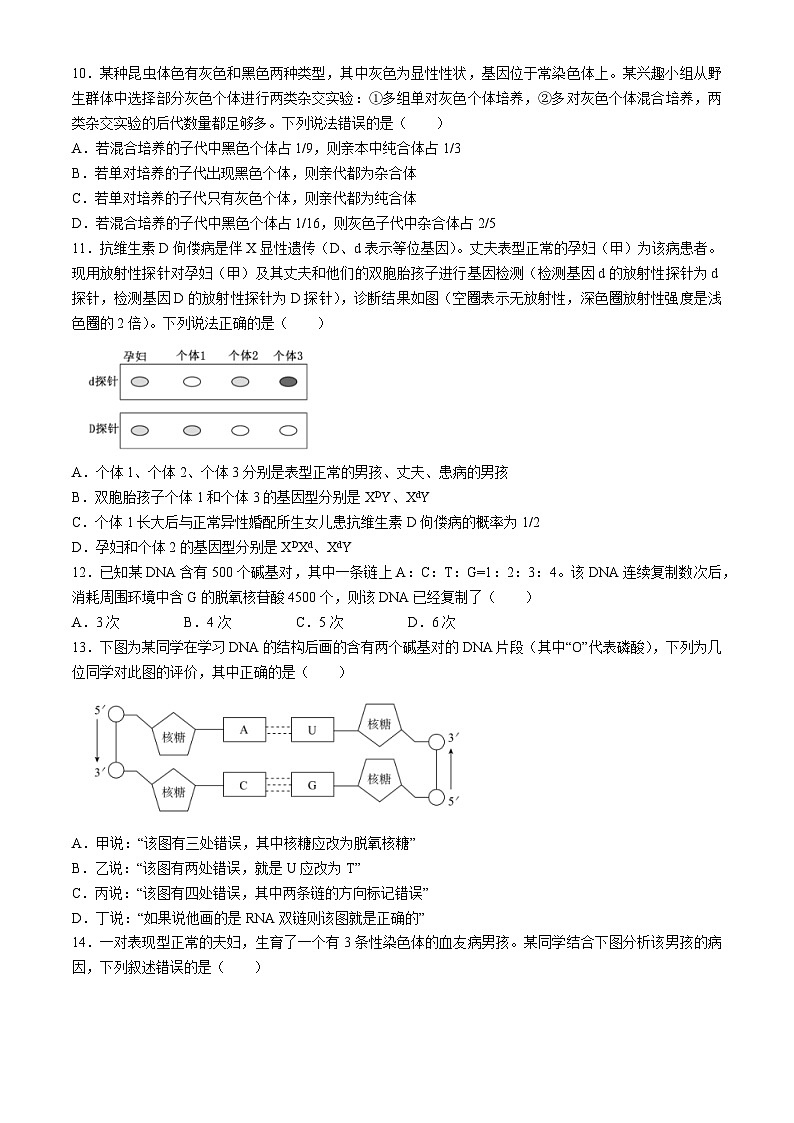 山东省枣庄市滕州市2023-2024学年高一下学期期中考试生物试卷第3页
