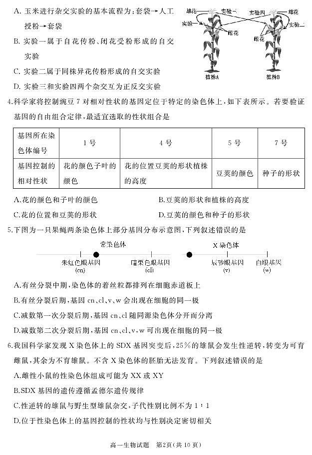 山东省枣庄市滕州市2023-2024学年高一下学期期中考试生物试卷02