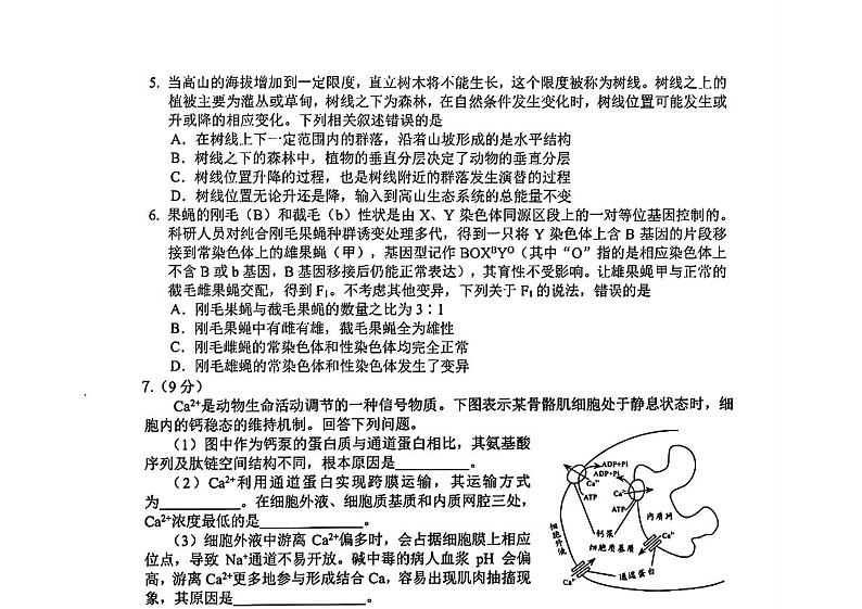 四川省绵阳市三台县三台中学校2023-2024学年高三下学期三模考试生物试题02