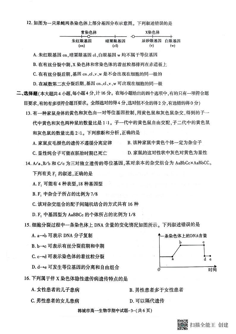 陕西省韩城市2023-2024年度第二学期高一生物期中考试试题（解析版）第3页