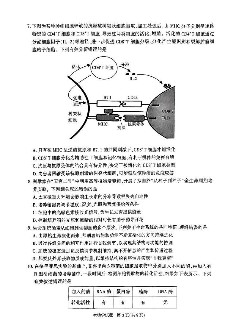 2024年合肥市高三第二次教学质量检测 生物试卷+答案03