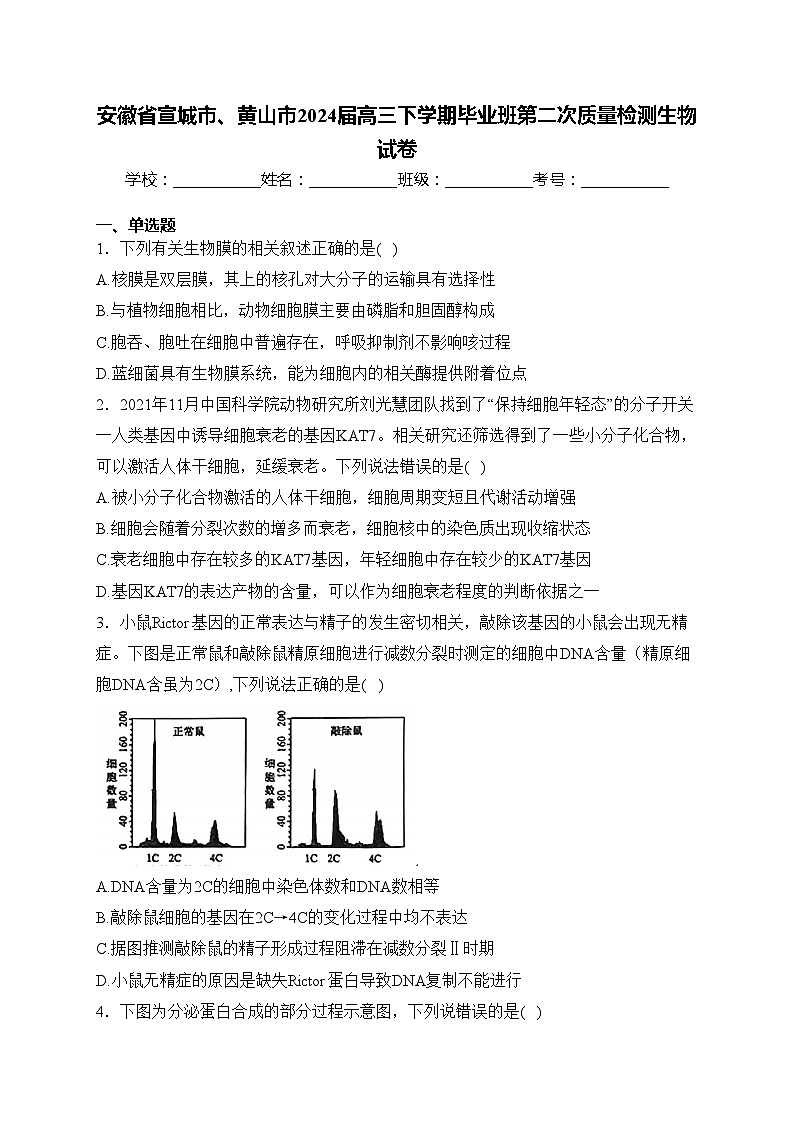 安徽省宣城市、黄山市2024届高三下学期毕业班第二次质量检测生物试卷(含答案)01