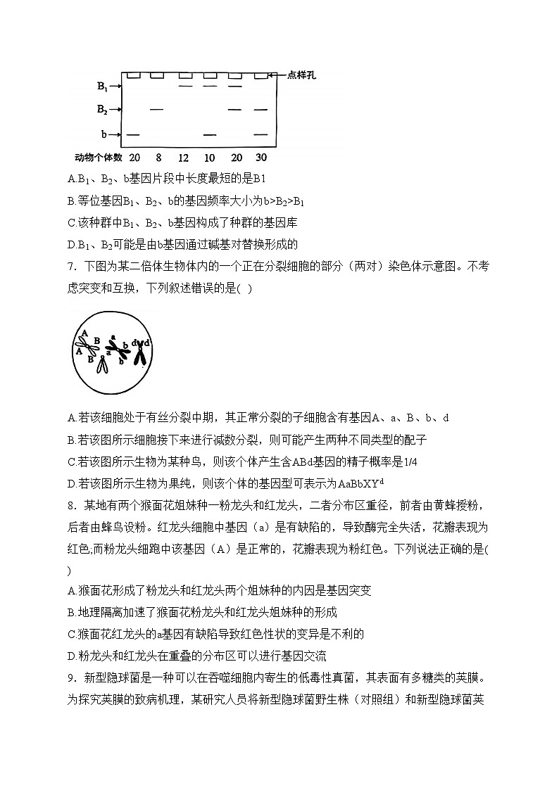 安徽省宣城市、黄山市2024届高三下学期毕业班第二次质量检测生物试卷(含答案)03