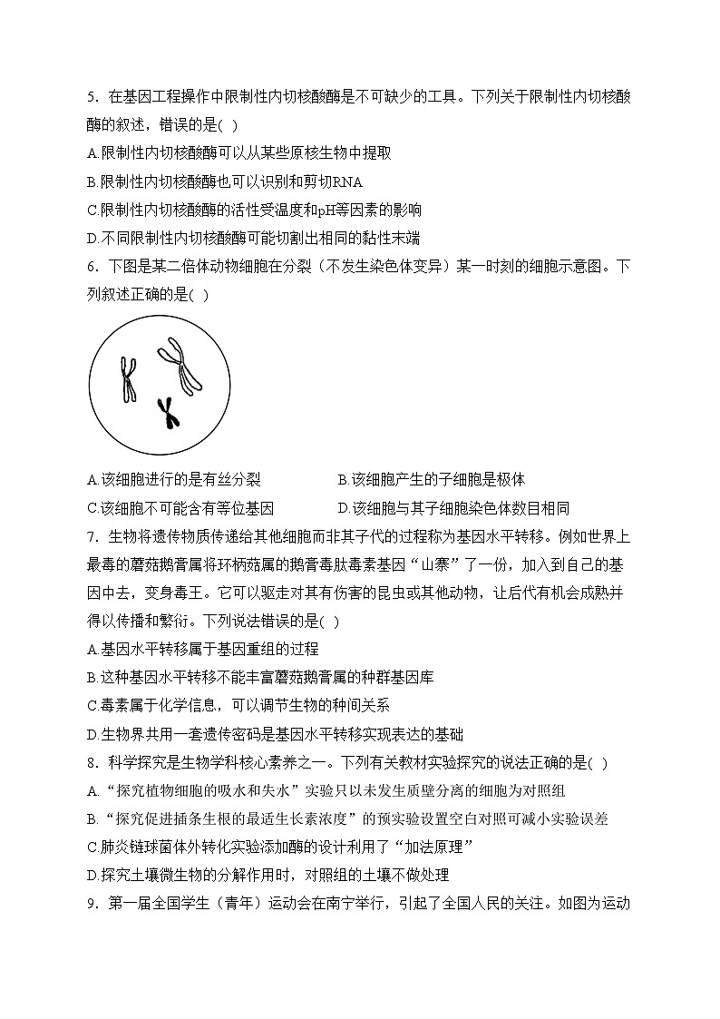 广西2024届高三下学期高考第二次联合模拟考试生物试卷(含答案)02