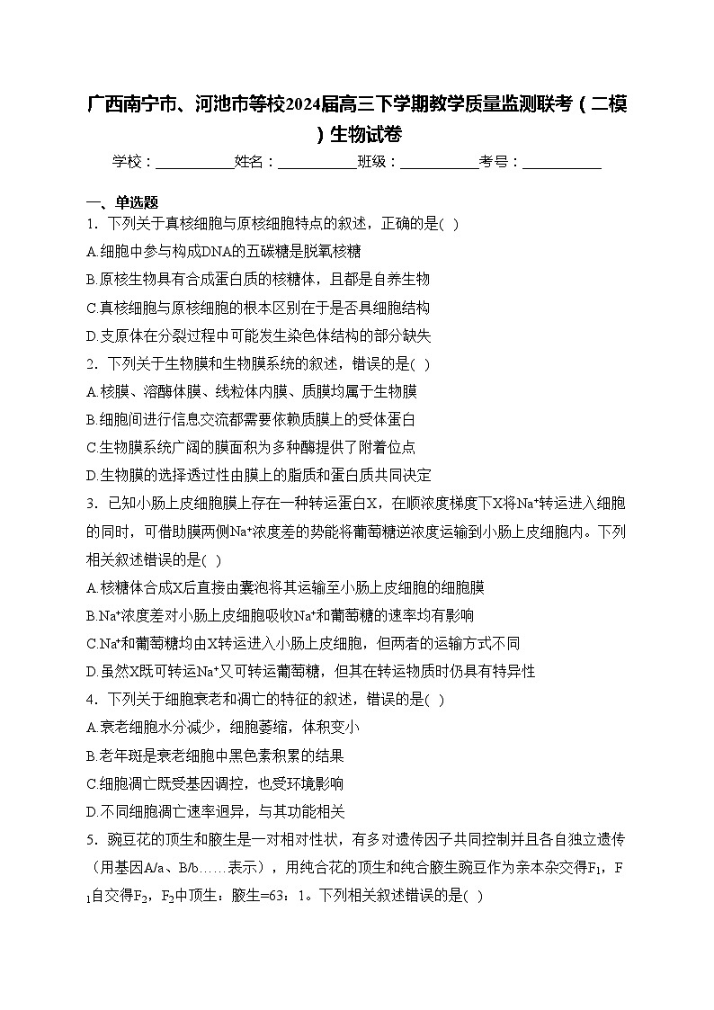 广西南宁市、河池市等校2024届高三下学期教学质量监测联考（二模）生物试卷(含答案)01