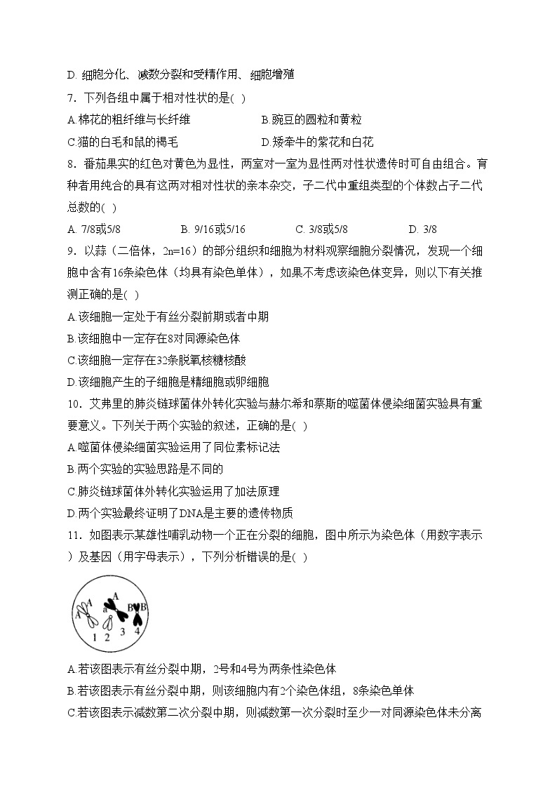 广西壮族自治区桂林市永福县2023-2024学年高一下学期4月考试生物试卷(含答案)02