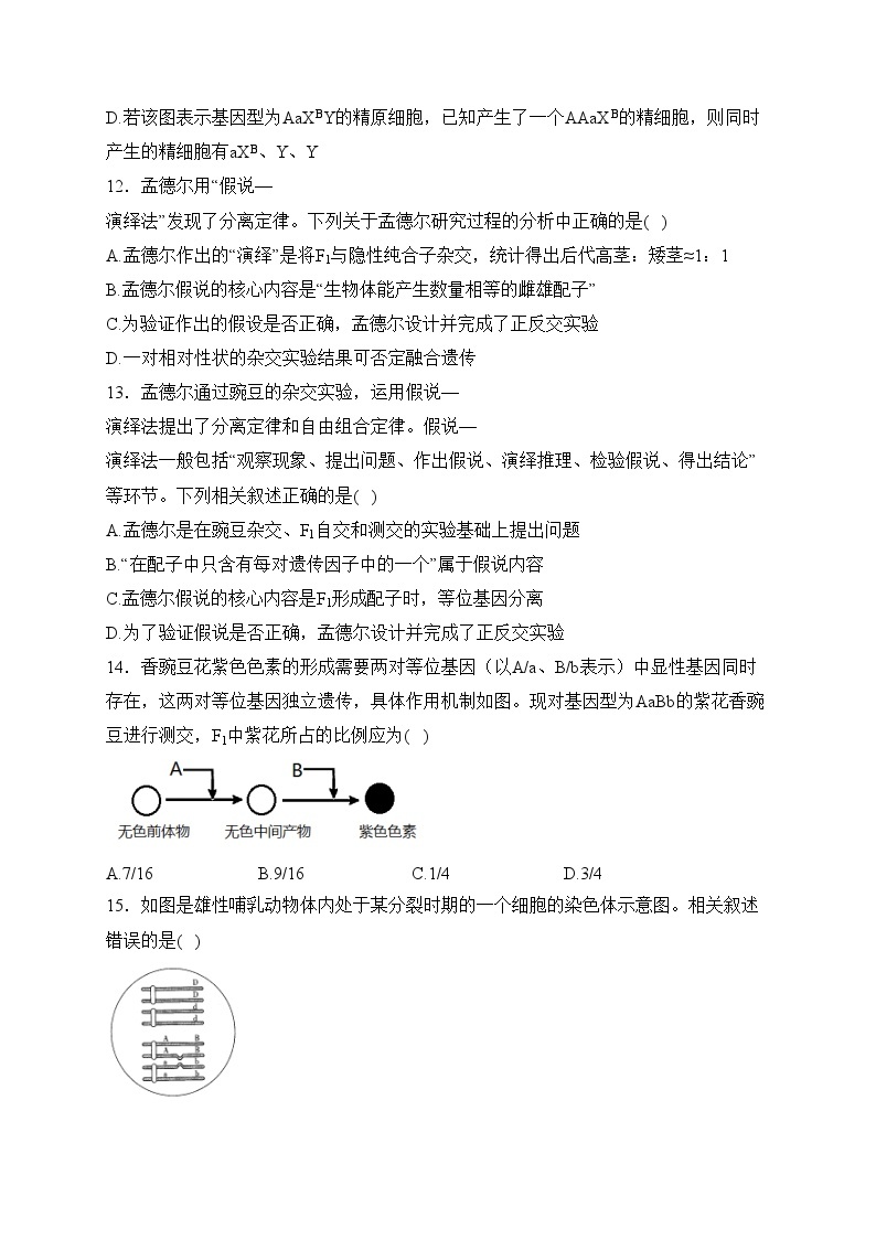 广西壮族自治区桂林市永福县2023-2024学年高一下学期4月考试生物试卷(含答案)03