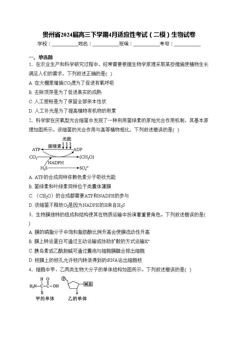 贵州省2024届高三下学期4月适应性考试（二模）生物试卷(含答案)第1页