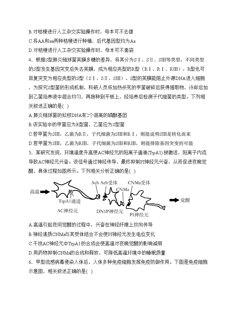 湖南省大联考2024届高三下学期3月模拟考试（模拟一）生物试卷(含答案)02
