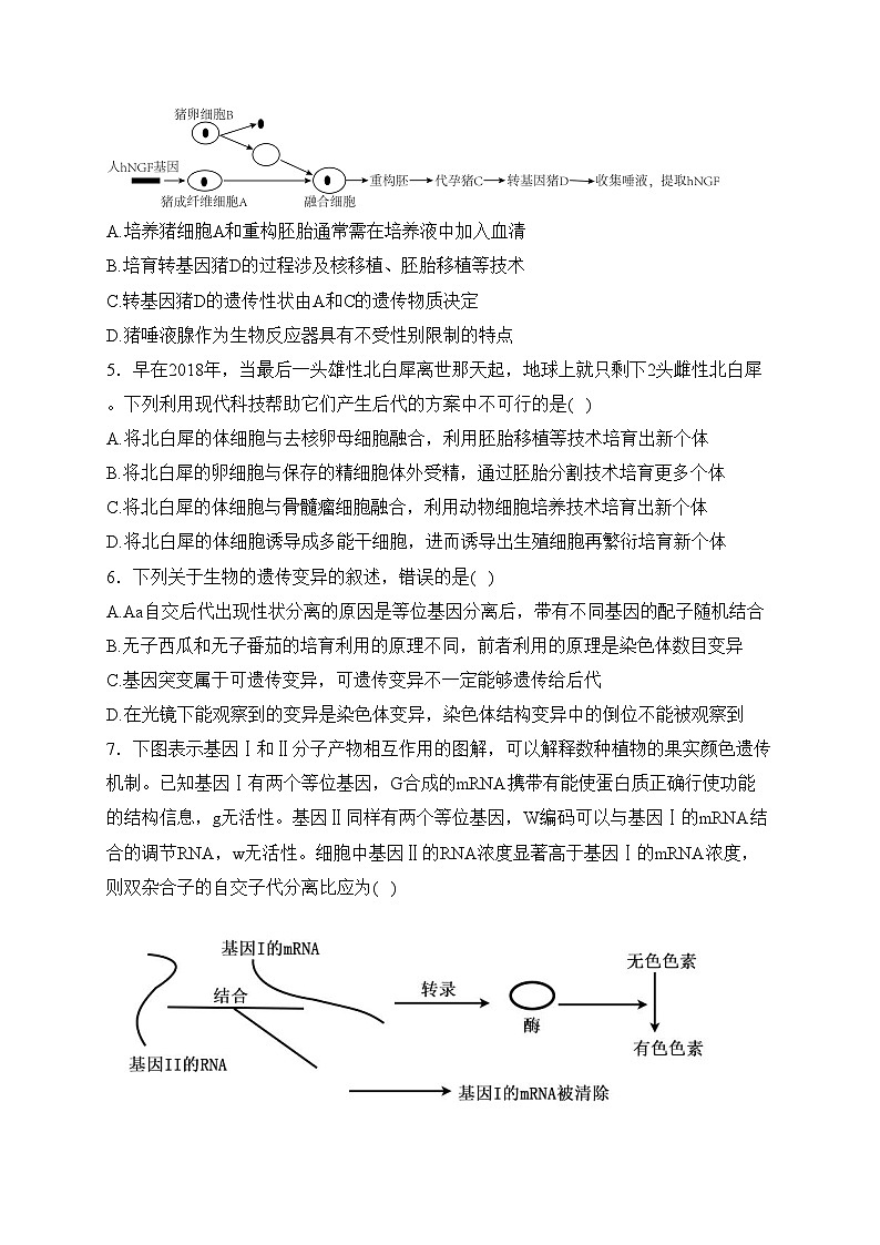 湖南师范大学附属中学2022-2023学年高二下学期期中生物试卷(含答案)第2页
