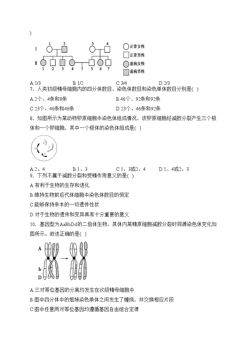 鸡西市第一中学校2023-2024学年高一下学期4月月考生物试卷(含答案)第2页