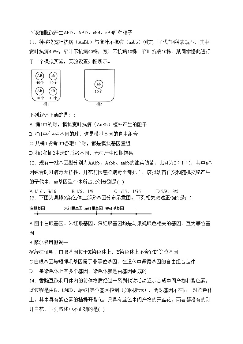鸡西市第一中学校2023-2024学年高一下学期4月月考生物试卷(含答案)第3页