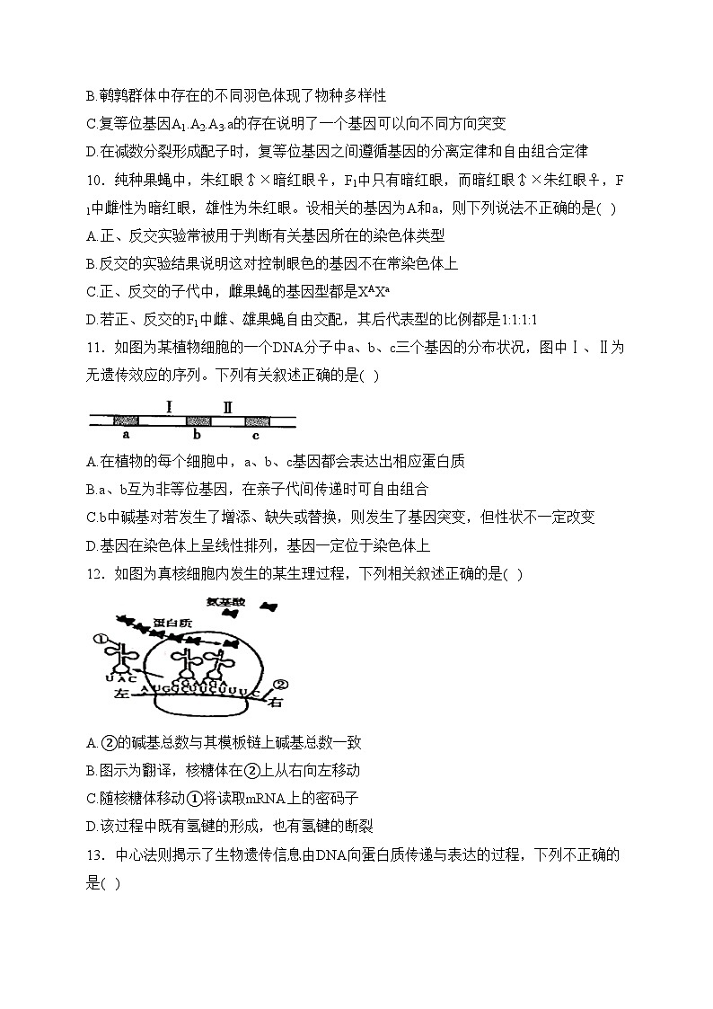 南阳市第一完全学校2022-2023学年高一下学期期末备考卷（一）生物试卷(含答案)第3页