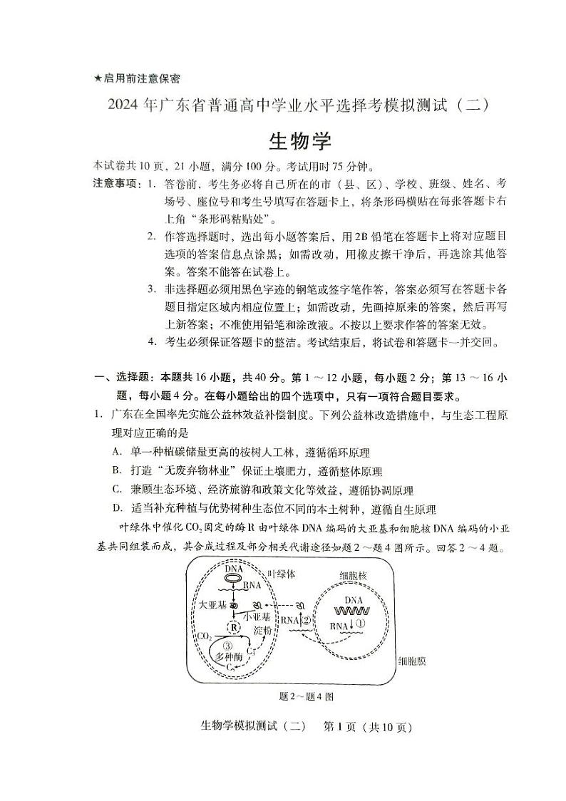 2024届广东二模生物试卷第1页