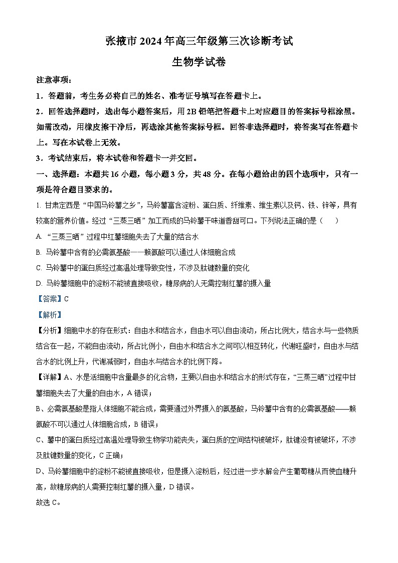 2024届肃省张掖市高三下学期第三次诊断考试生物试卷（原卷版+解析版）01