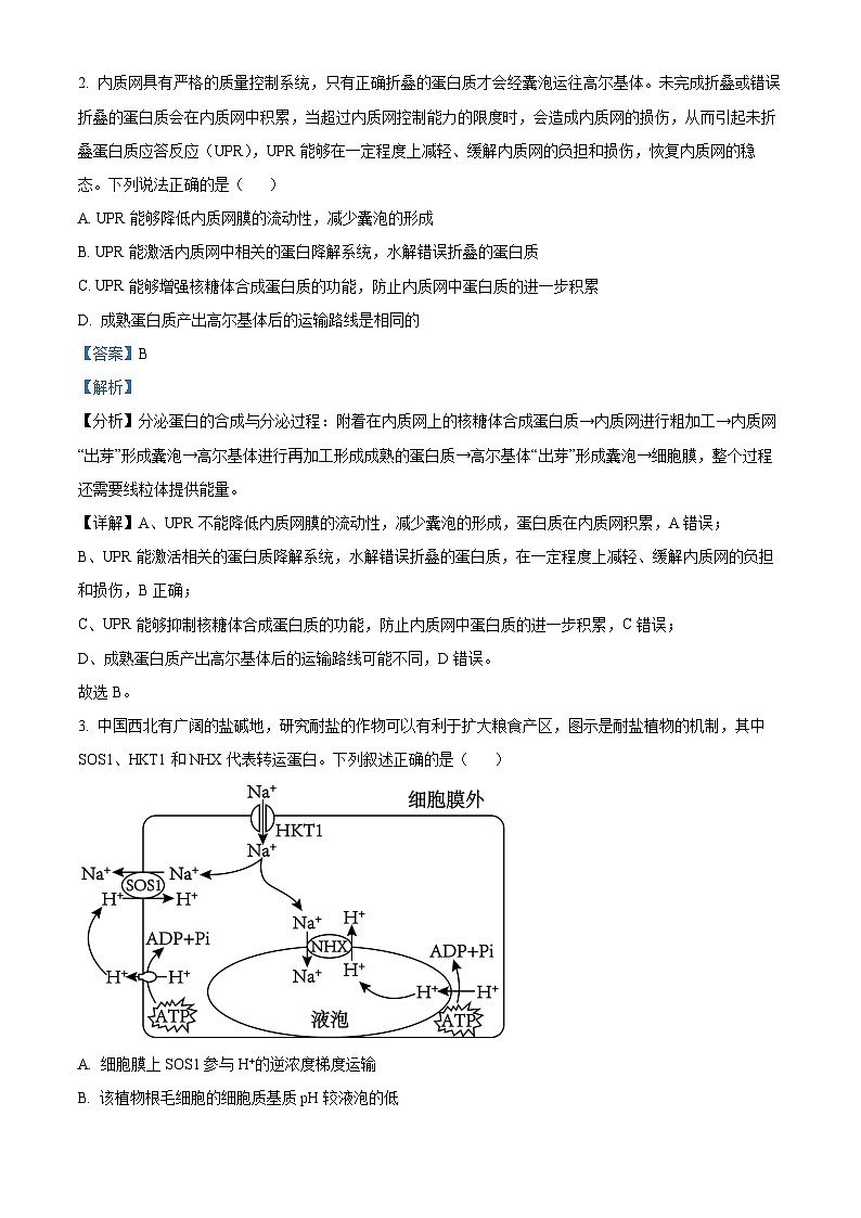 2024届肃省张掖市高三下学期第三次诊断考试生物试卷（原卷版+解析版）02