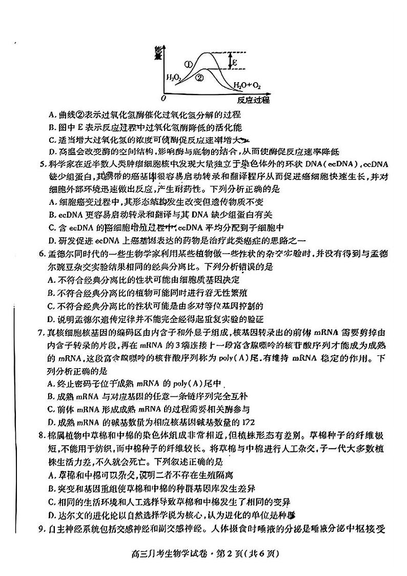 2024届甘肃省高三下学期4月月考试卷（二模）生物试题02
