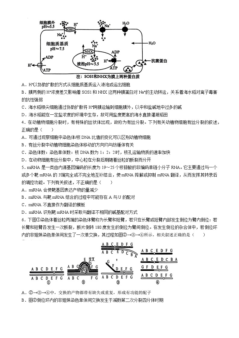 江西省五市九校协作体2024届高三二模生物试题（Word版附解析）02