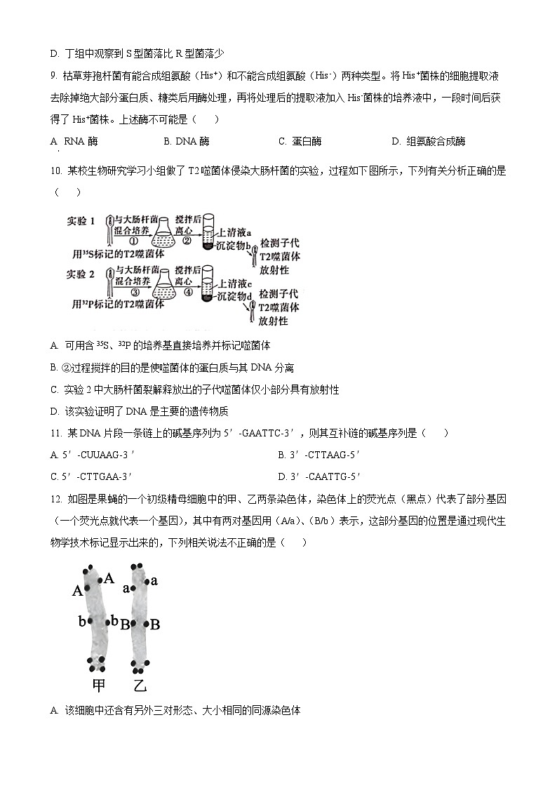 广西壮族自治区河池市十校联考2023-2024学年高一下学期4月月考生物试题（解析版+原卷版）03
