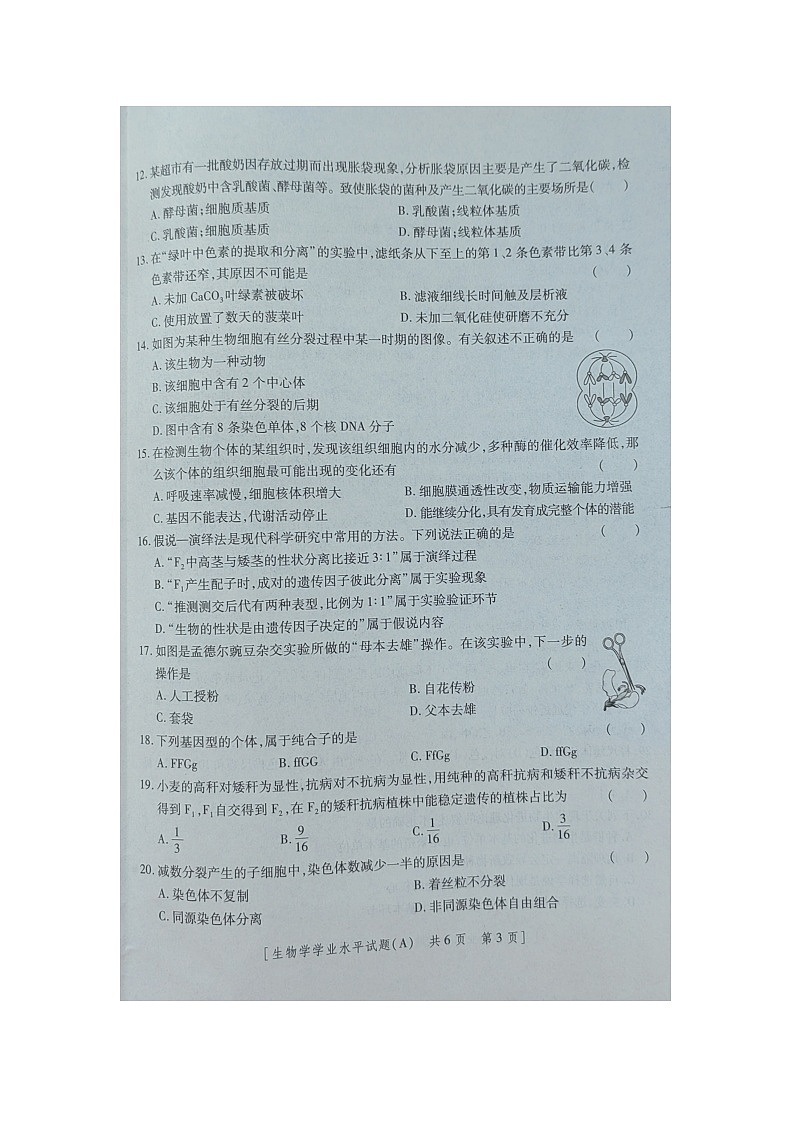 陕西省2024年普通高中学业水平合格性考试全真模拟生物试题+第3页