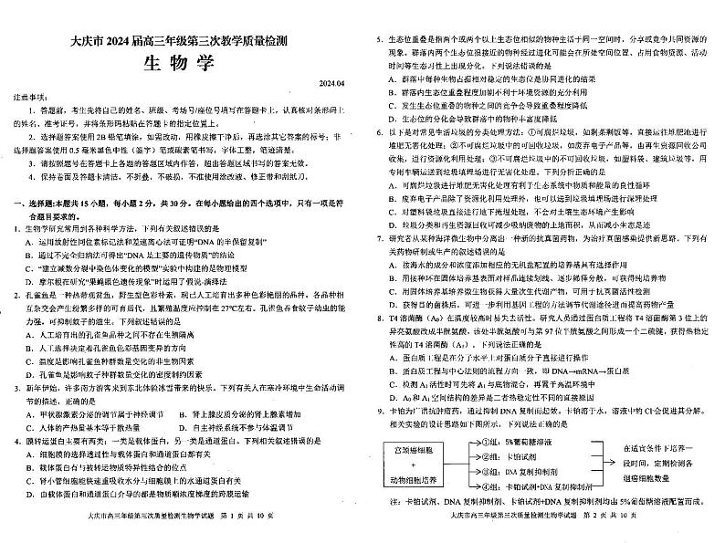 2024届黑龙江省大庆市高三下学期4月第三次质量检测生物试题第1页