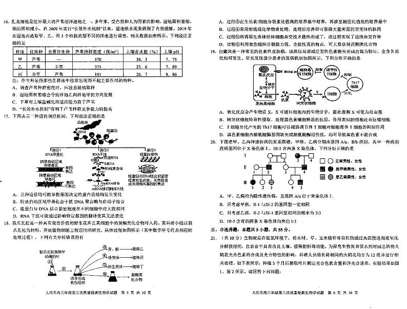 2024届黑龙江省大庆市高三下学期4月第三次质量检测生物试题第3页