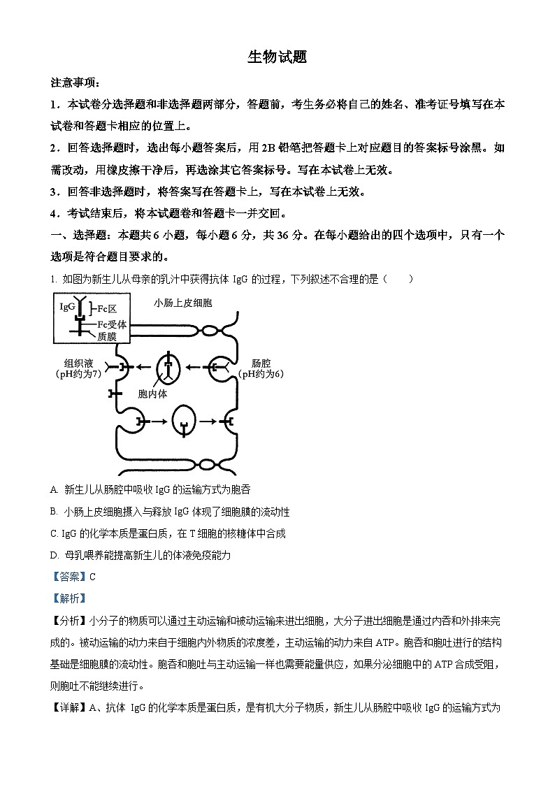 新疆维吾尔自治区乌鲁木齐市天山区第八中学2023-2024学年高三二模考试生物试题　（原卷版+解析版）01
