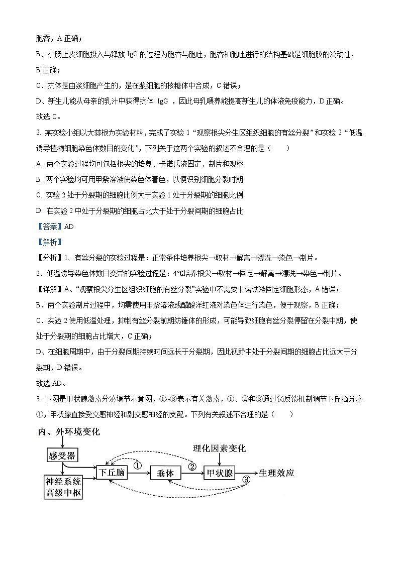 新疆维吾尔自治区乌鲁木齐市天山区第八中学2023-2024学年高三二模考试生物试题　（原卷版+解析版）02