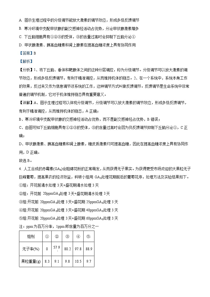 新疆维吾尔自治区乌鲁木齐市天山区第八中学2023-2024学年高三二模考试生物试题　（原卷版+解析版）03