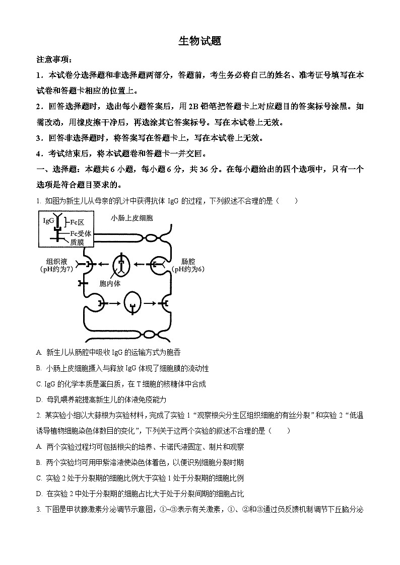 新疆维吾尔自治区乌鲁木齐市天山区第八中学2023-2024学年高三二模考试生物试题　（原卷版+解析版）01