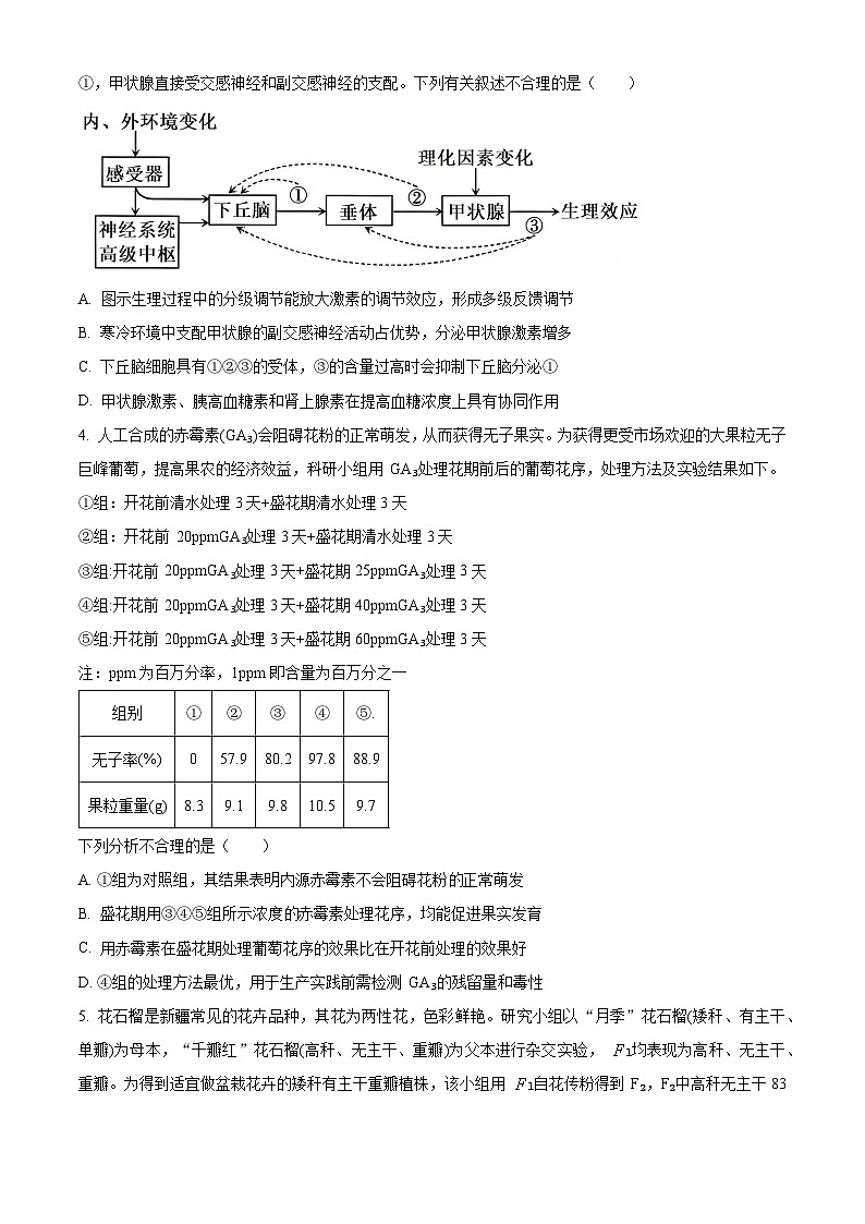 新疆维吾尔自治区乌鲁木齐市天山区第八中学2023-2024学年高三二模考试生物试题　（原卷版+解析版）02